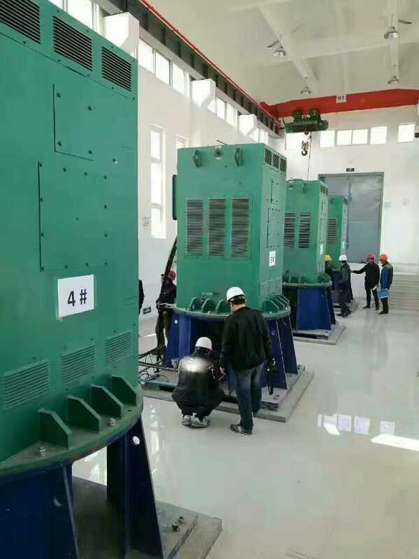 邓州某污水处理厂使用我厂的立式高压电机安装现场